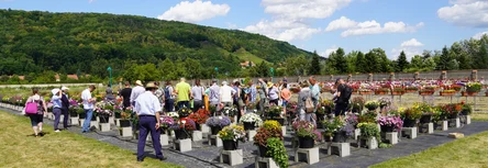 Fachbesucher Pillnitzer Probefeld 25.6.2025