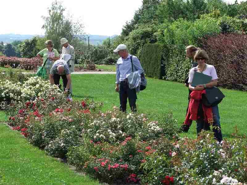 Besucher des Rosentags 2015 im Versuchsfeld 