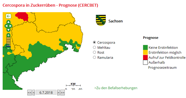 Grafik 1: Cercospora in Zuckerrüben – Prognose (CERCBET)