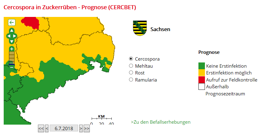 Grafik 1: Cercospora in Zuckerrüben – Prognose (CERCBET)