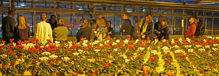 Gewächshaus - Fachbesucher zur Fachtagung Substrate und Düngung