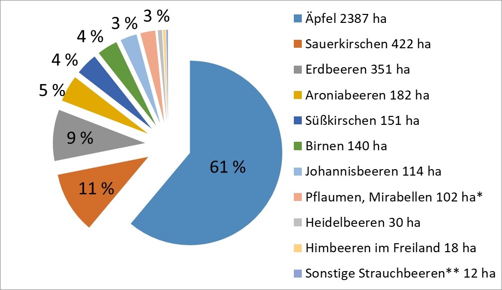 Flächenanteil der Obstarten in Sachsen