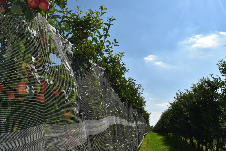 Apfel_Hagelnetz_Balken