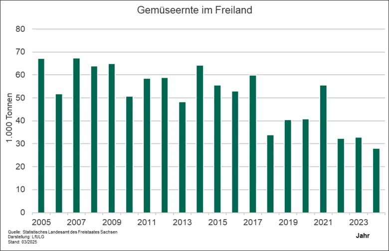 In dem Diagramm wird gezeigt, wie sich die Gemüseernte im Freiland in Sachsen entwickelte. Die Gemüseernte zeigt seit ca. 10 Jahren einen rückläufigen Trend, was vor allem mit der zurückgehenden Anbaufläche in Verbindung steht.