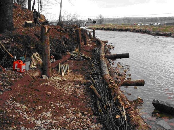 Holzkrainerwand am Lungwitzbach - Foto: Stowasser