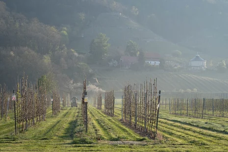 Pflanzenschutz im Versuchsfeld im April