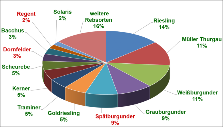 Rebsortenspiegel_2024