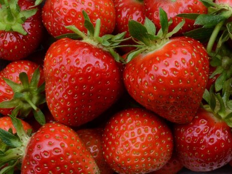 Erdbeeren