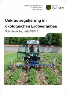 Titelbild zum Projekt: Unkrautregulierung im ökologischen Erdbeeranbau