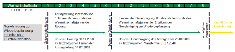 Genehmigung zur Wiederbepflanzung mit oder ohne Flurstückswechsel